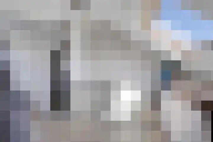 Nieuwe Baan 19 Herten thumbnail 25