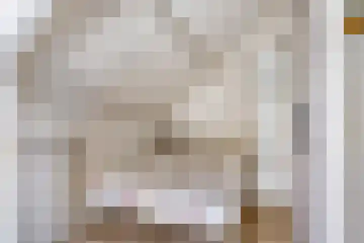 Nieuwe Baan 19 Herten thumbnail 27