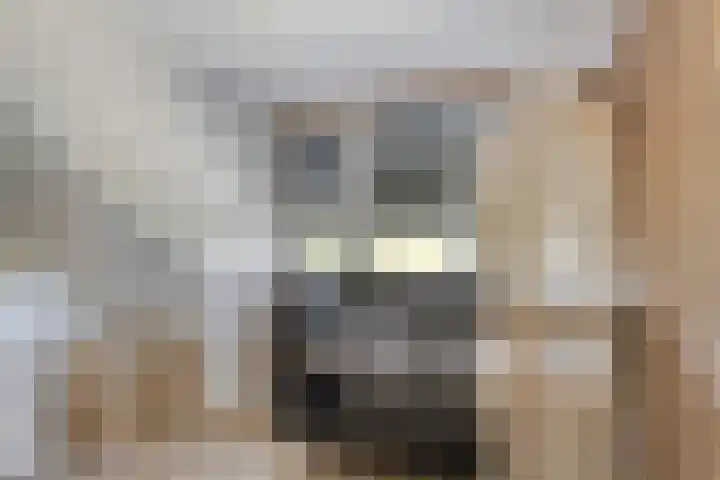 Nieuwe Baan 19 Herten thumbnail 28