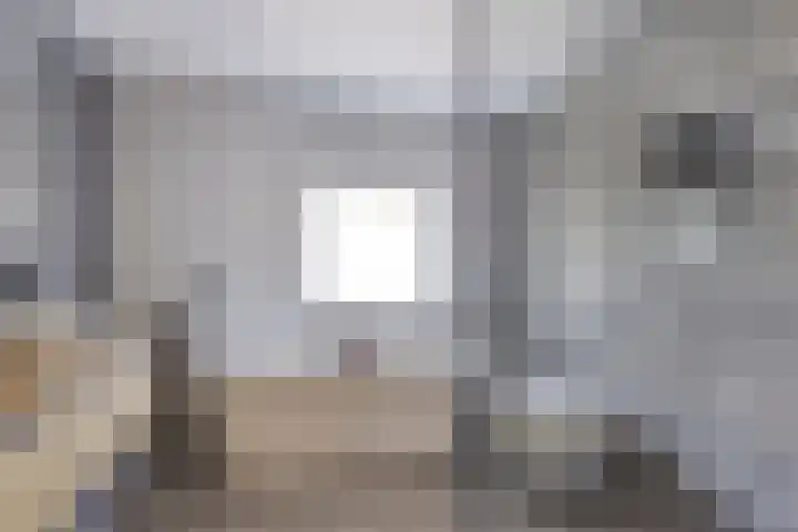 Nieuwe Baan 19 Herten foto 3