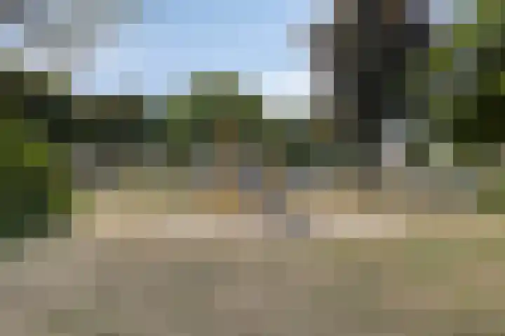 Nieuwe Baan 19 Herten thumbnail 36