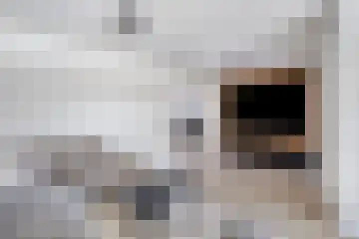 Nieuwe Baan 19 Herten thumbnail 8