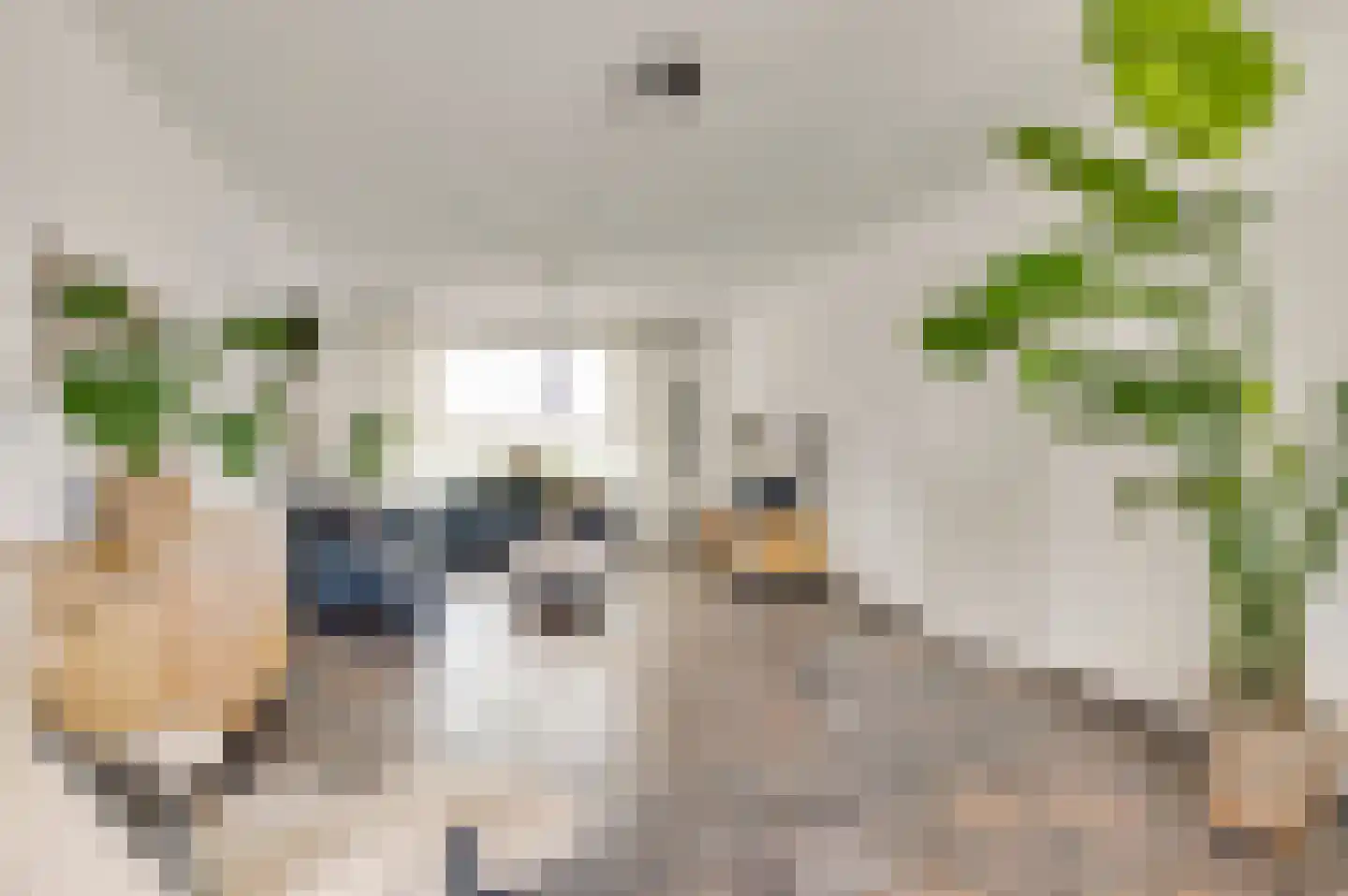 Nieuwe baan 24 Ospel thumbnail 16