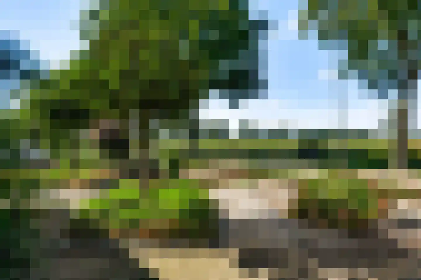 Nieuwe baan 24 Ospel foto 3