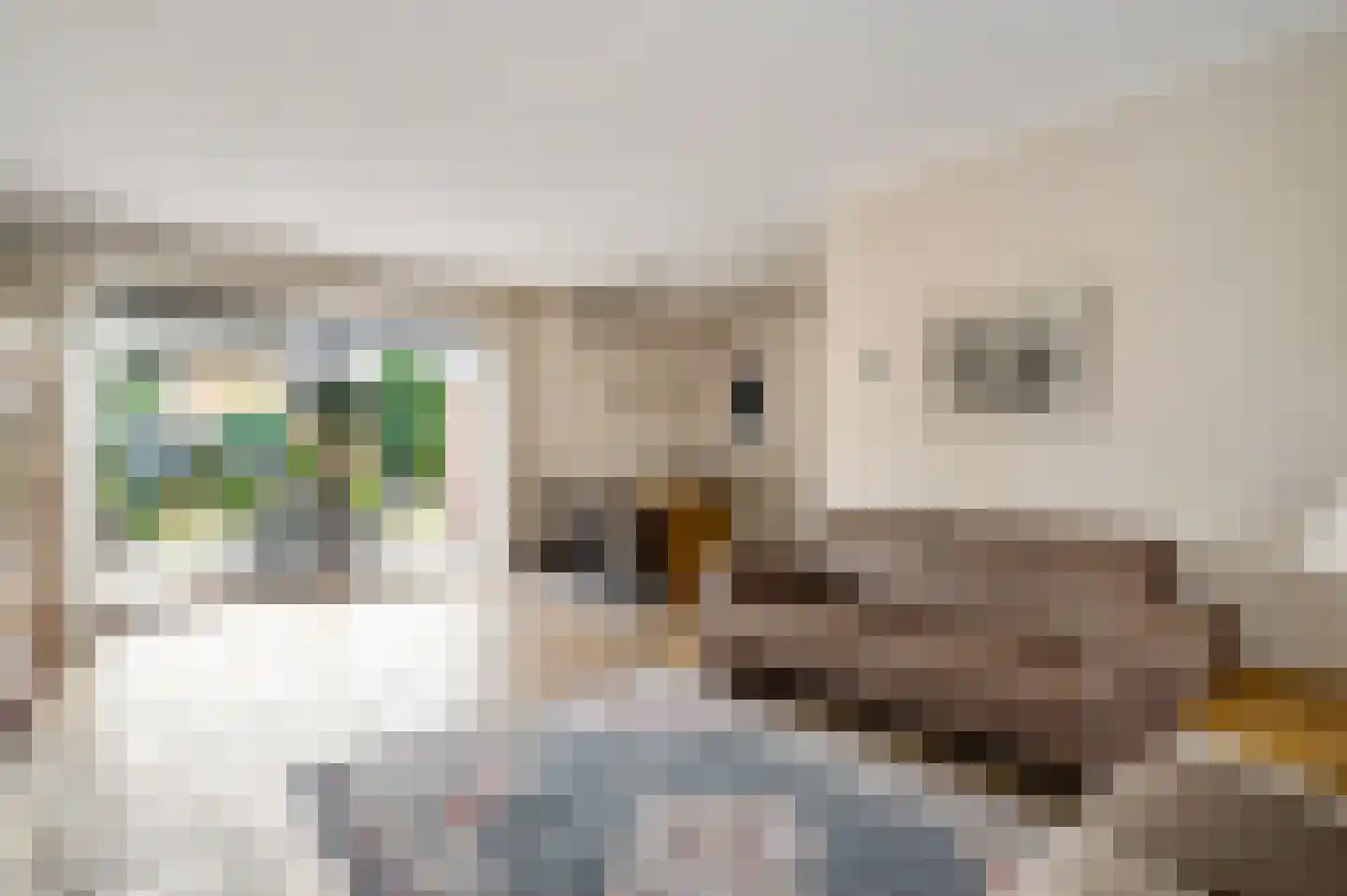 Nieuwe Baan 33 Herten thumbnail 10