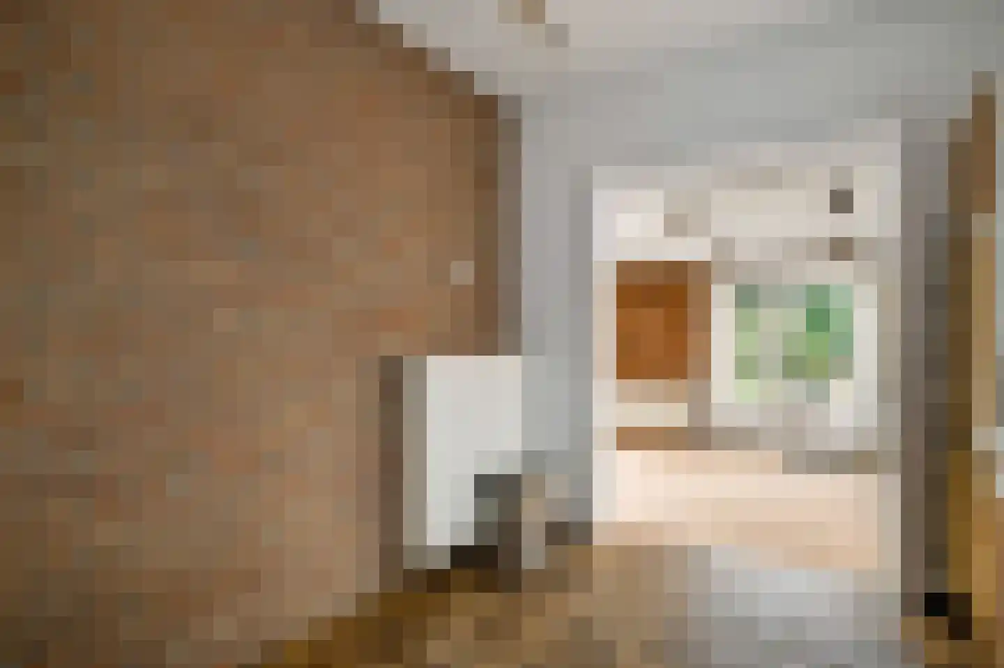 Nieuwe Baan 33 Herten thumbnail 14