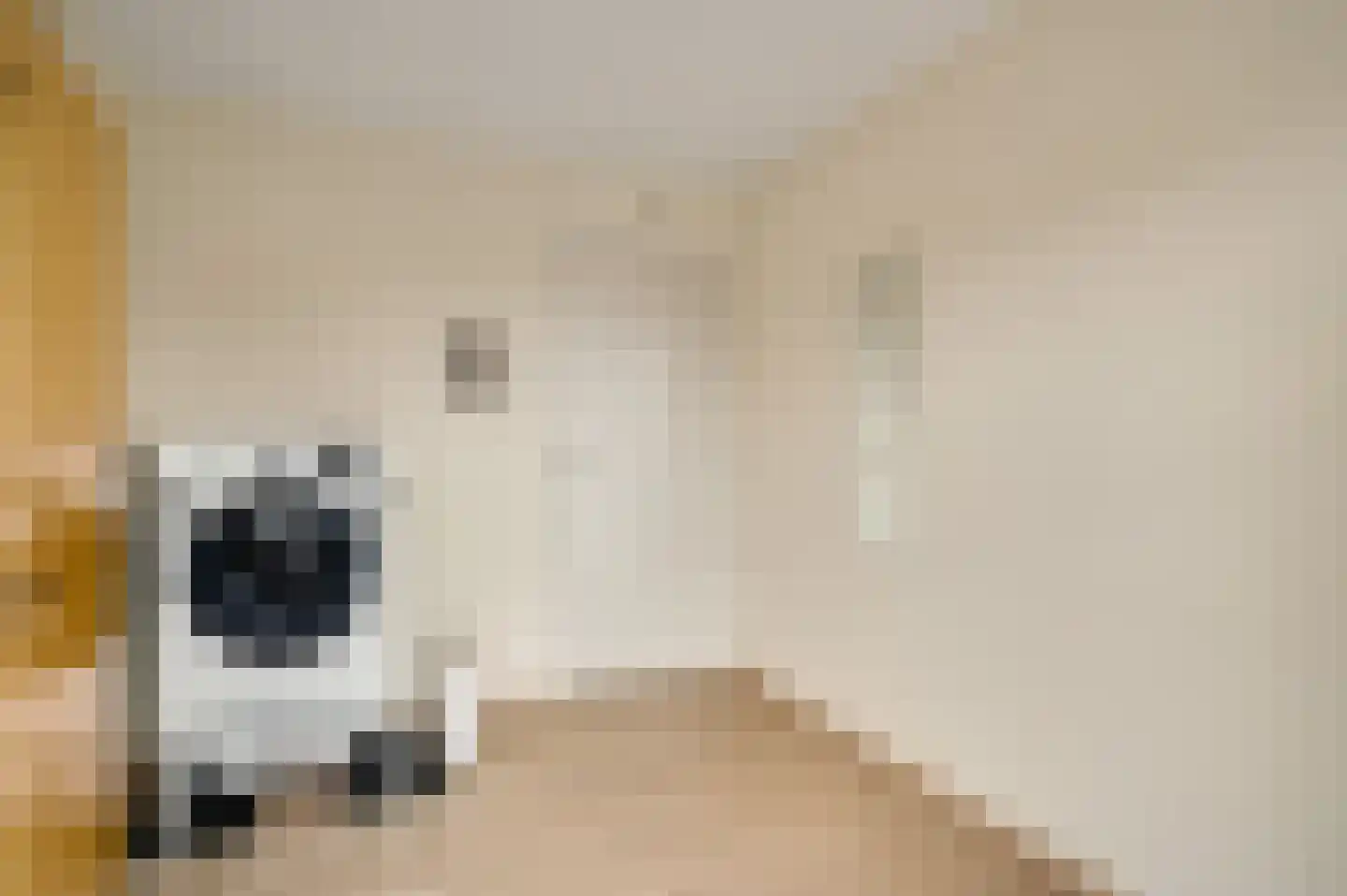 Nieuwe Baan 33 Herten thumbnail 35