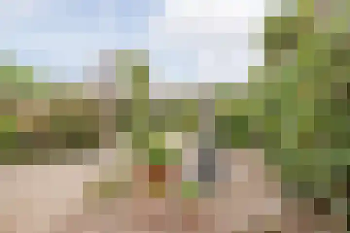 Nieuwe Baan 35 Tienray foto 2