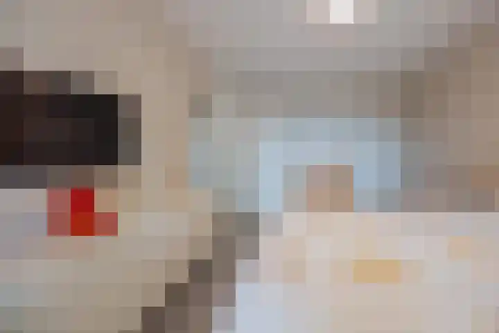 Nieuwe Baan 35 Tienray thumbnail 21