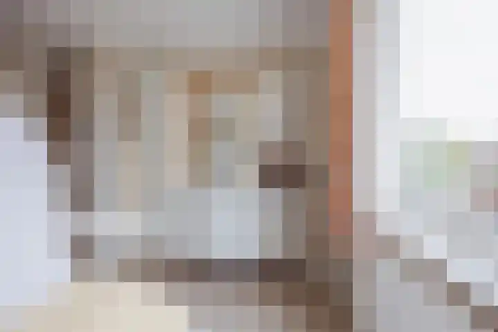 Nieuwe Baan 35 Tienray thumbnail 24