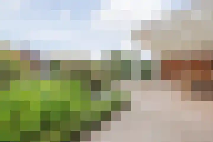 Nieuwe Baan 35 Tienray thumbnail 34