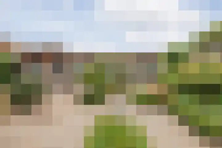 Nieuwe Baan 35 Tienray thumbnail 36