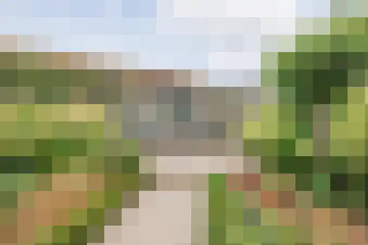 Nieuwe Baan 35 Tienray thumbnail 37