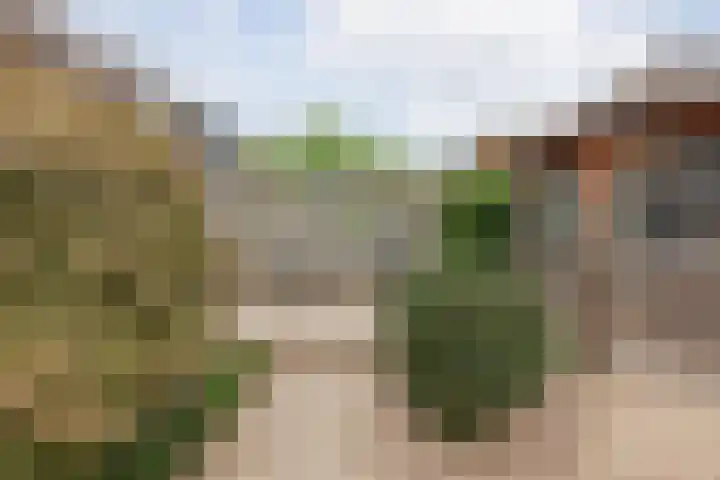 Nieuwe Baan 35 Tienray thumbnail 38