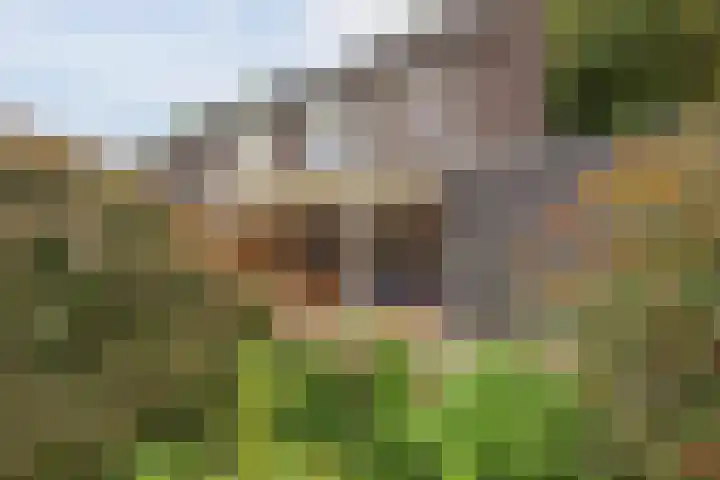 Nieuwe Baan 35 Tienray thumbnail 39