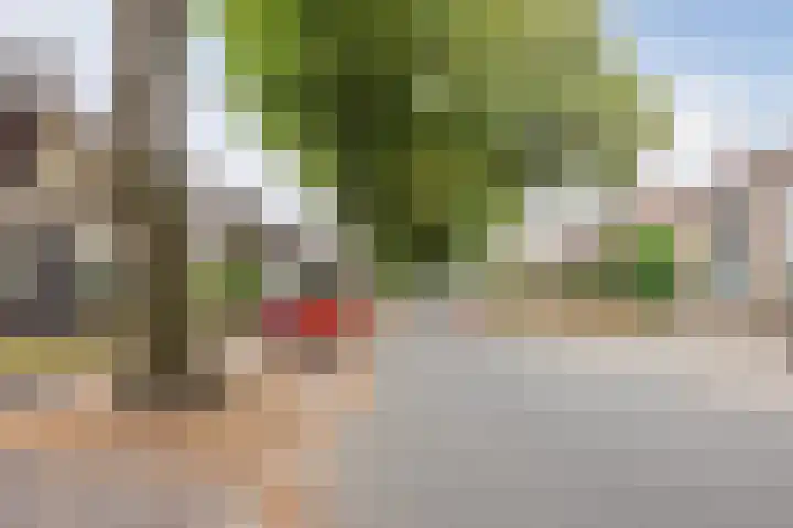 Nieuwe Baan 35 Tienray thumbnail 45