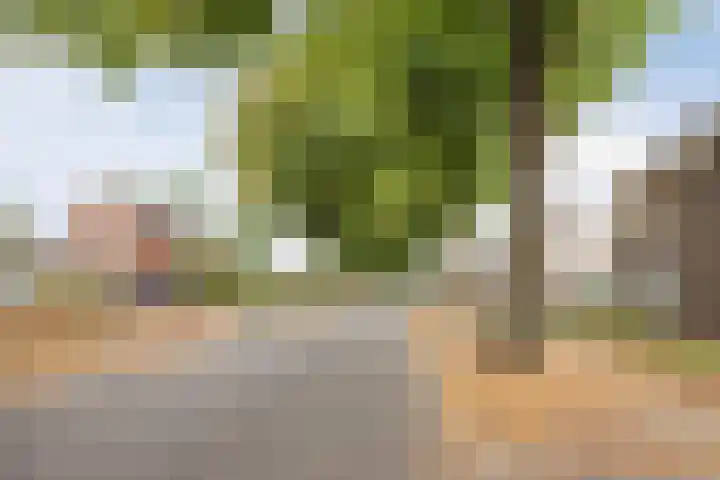 Nieuwe Baan 35 Tienray thumbnail 46
