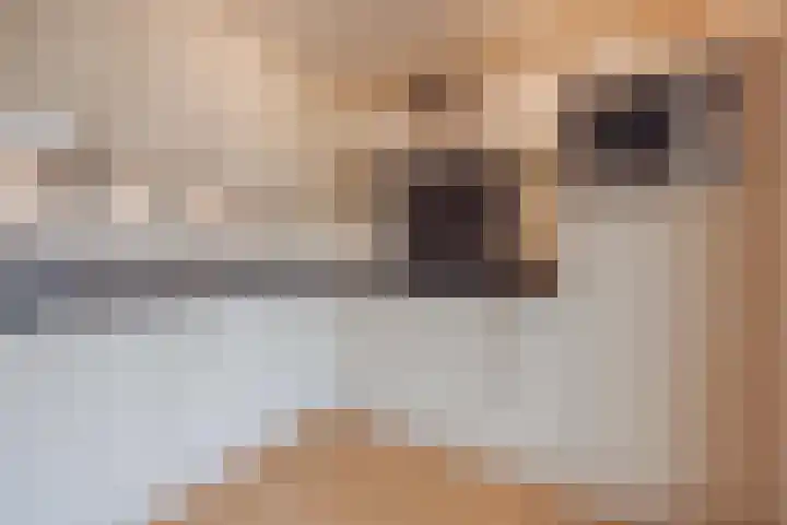 Nieuwe Baan 35 Tienray thumbnail 5