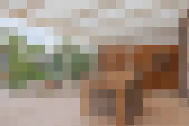 Nieuwe Baan 35 Tienray thumbnail 6