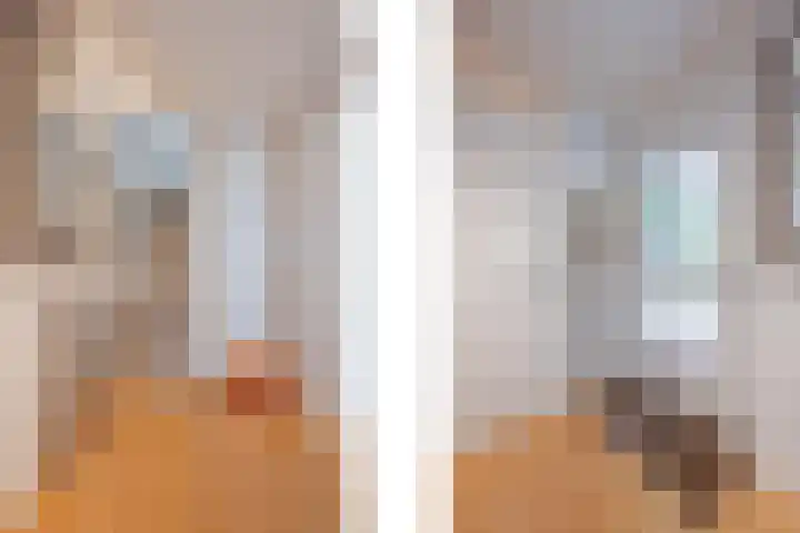 Nieuwe Baan 35 Tienray thumbnail 8
