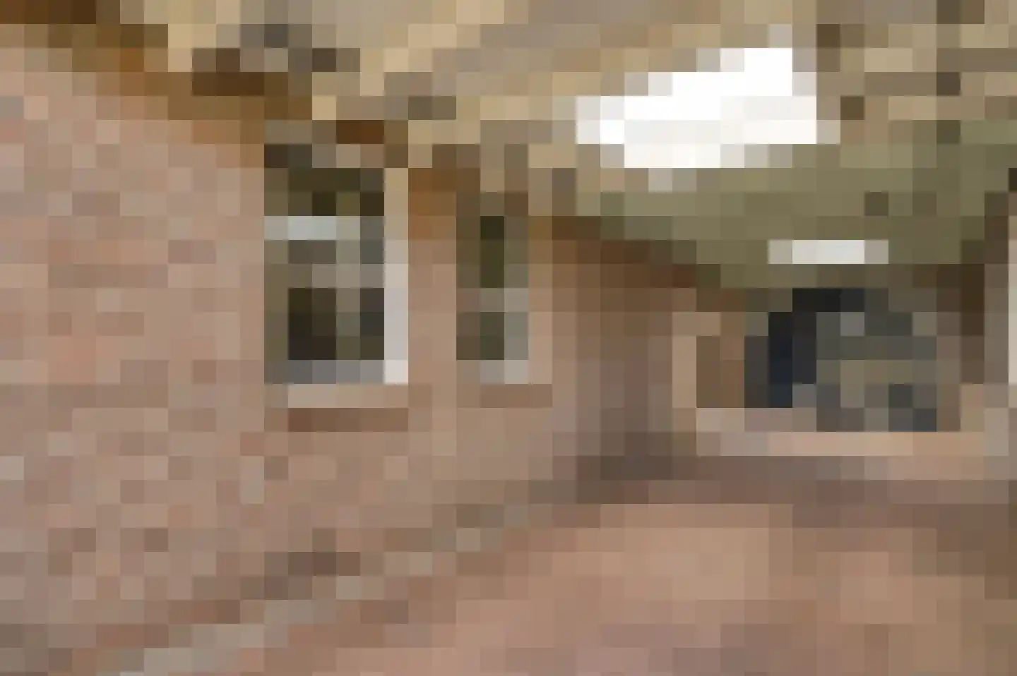 Nieuwe Baan 46 Tienray thumbnail 10