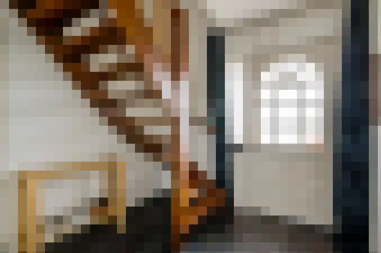 Nieuwe Baan 46 Tienray thumbnail 12