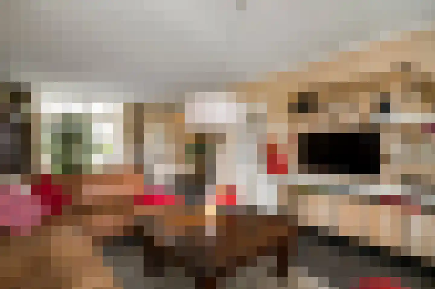Nieuwe Baan 46 Tienray thumbnail 16