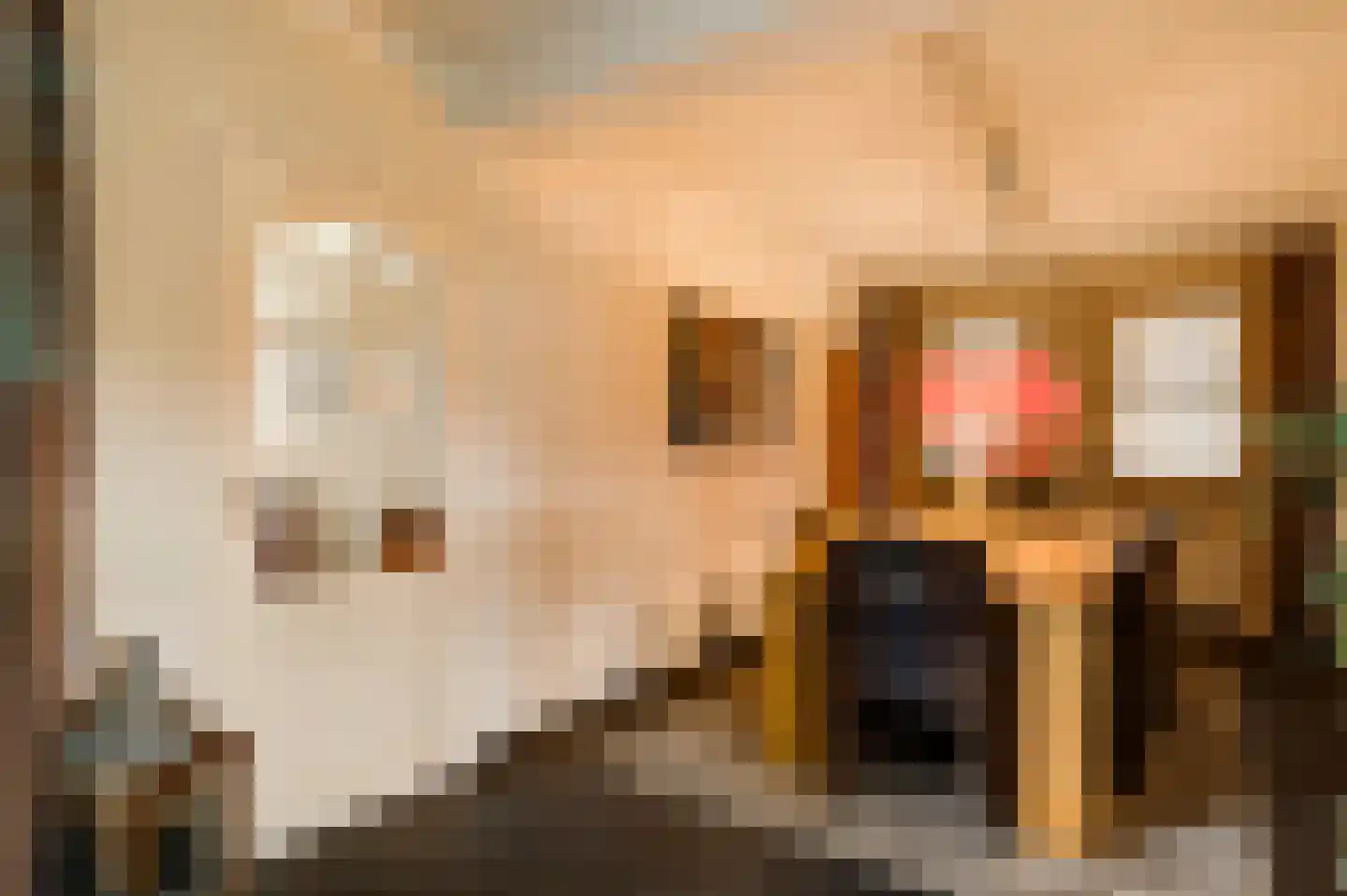 Nieuwe Baan 46 Tienray thumbnail 20