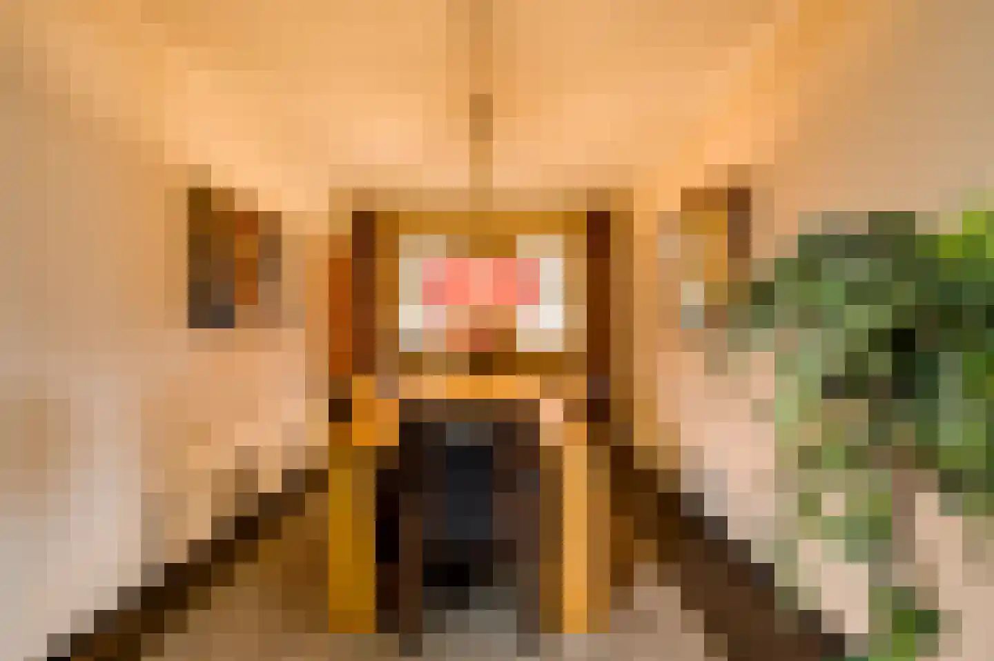 Nieuwe Baan 46 Tienray thumbnail 22