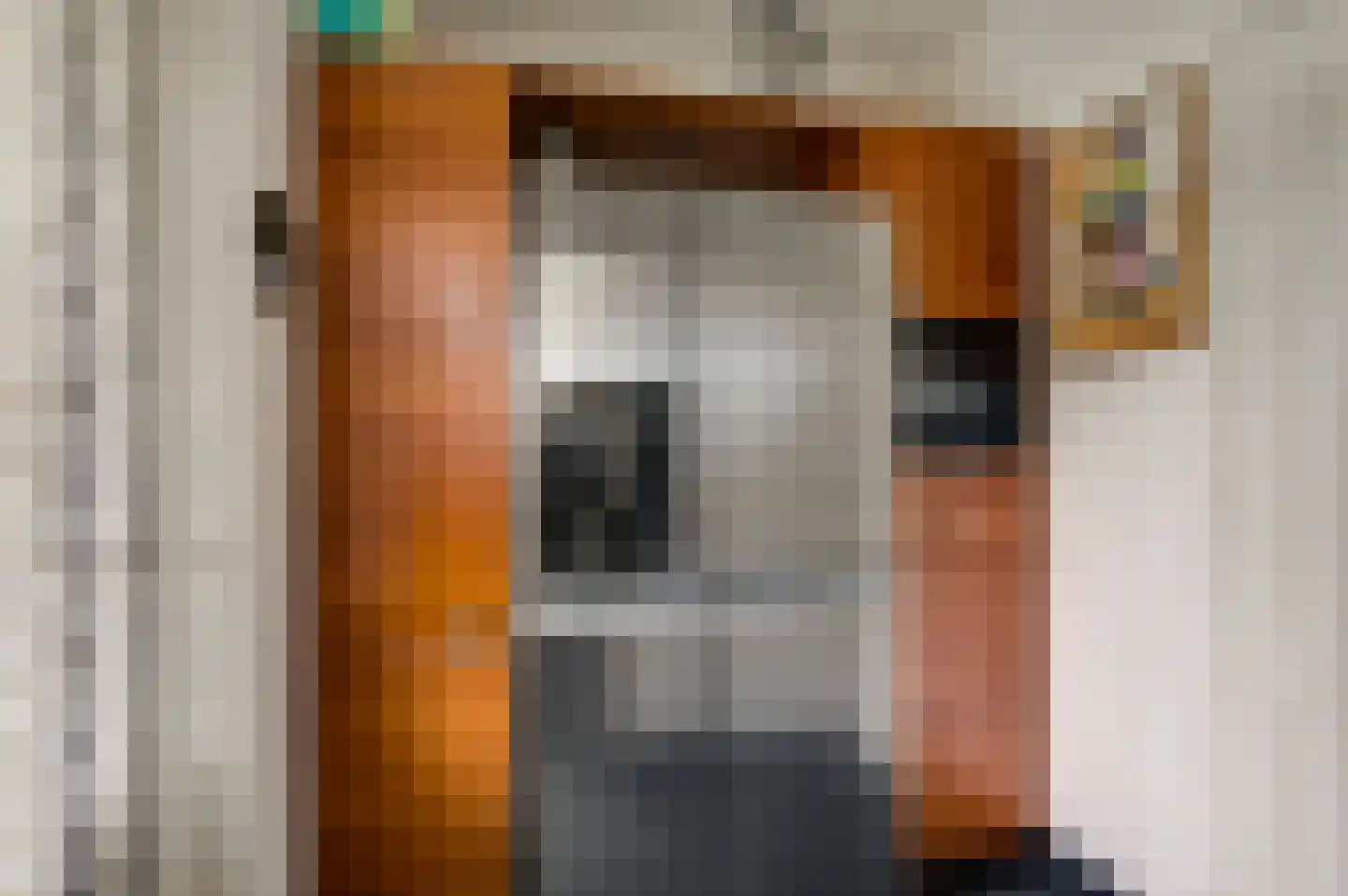 Nieuwe Baan 46 Tienray thumbnail 27