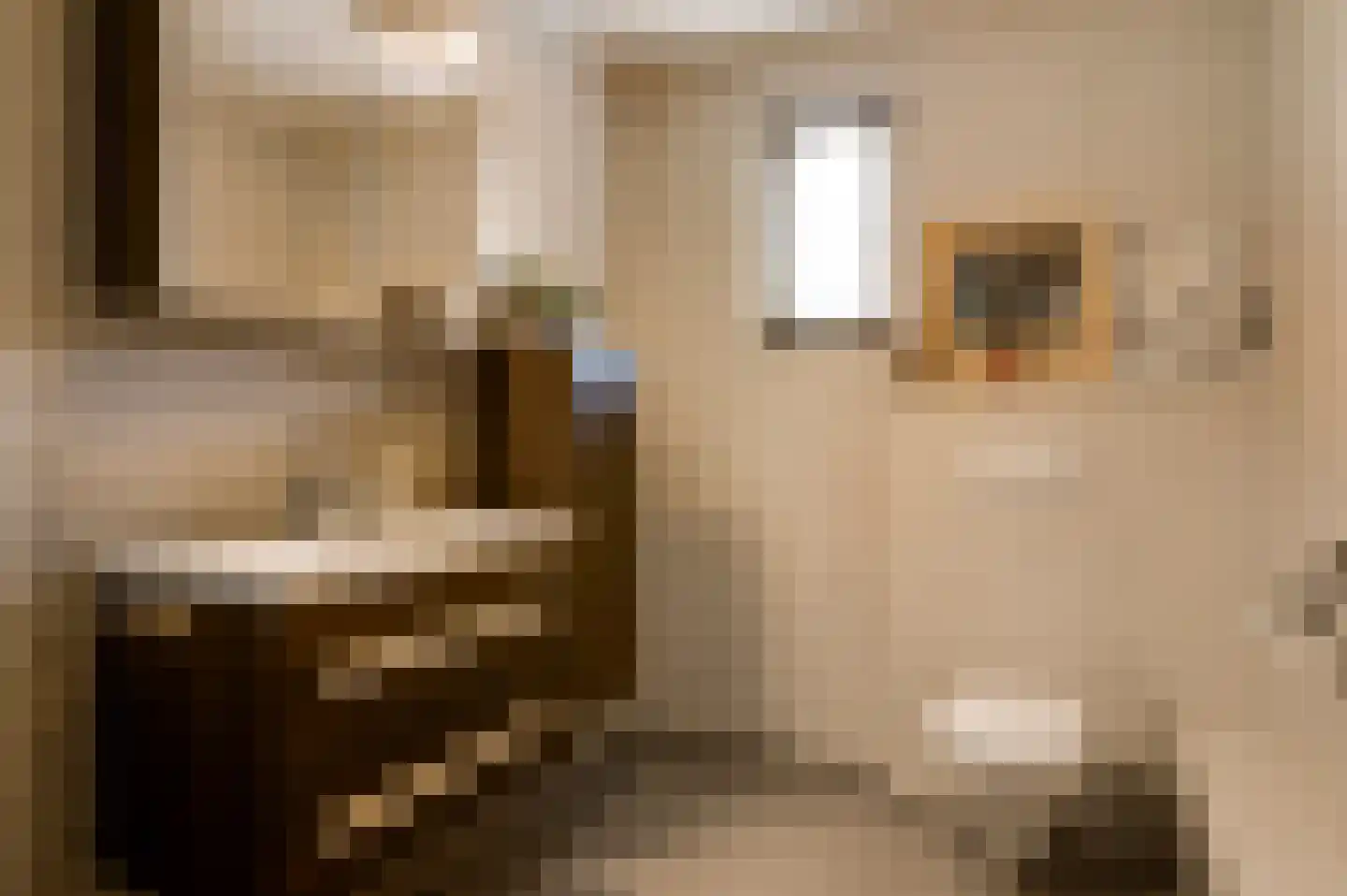 Nieuwe Baan 46 Tienray thumbnail 29