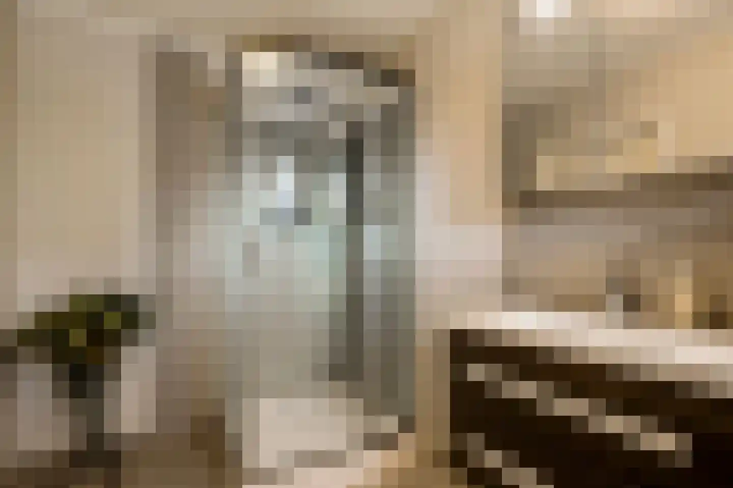 Nieuwe Baan 46 Tienray thumbnail 30