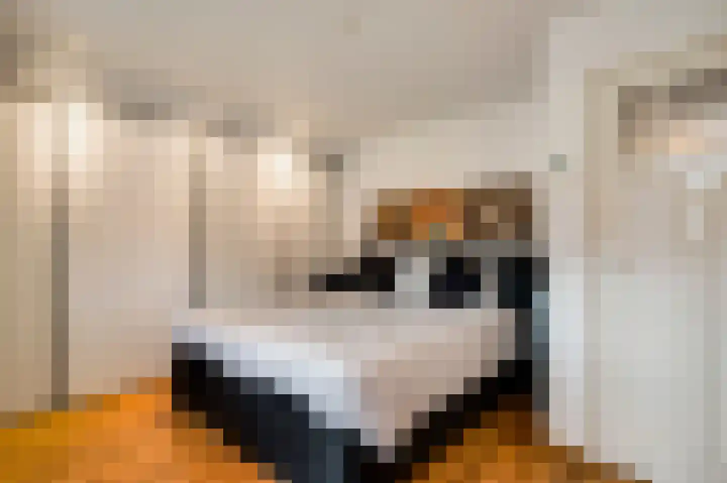 Nieuwe Baan 46 Tienray thumbnail 35