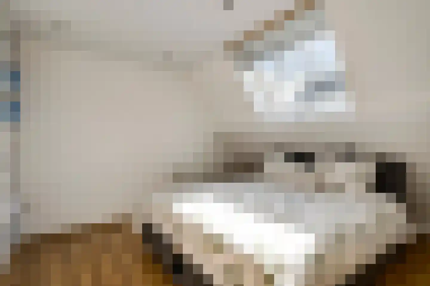 Nieuwe Baan 46 Tienray thumbnail 37