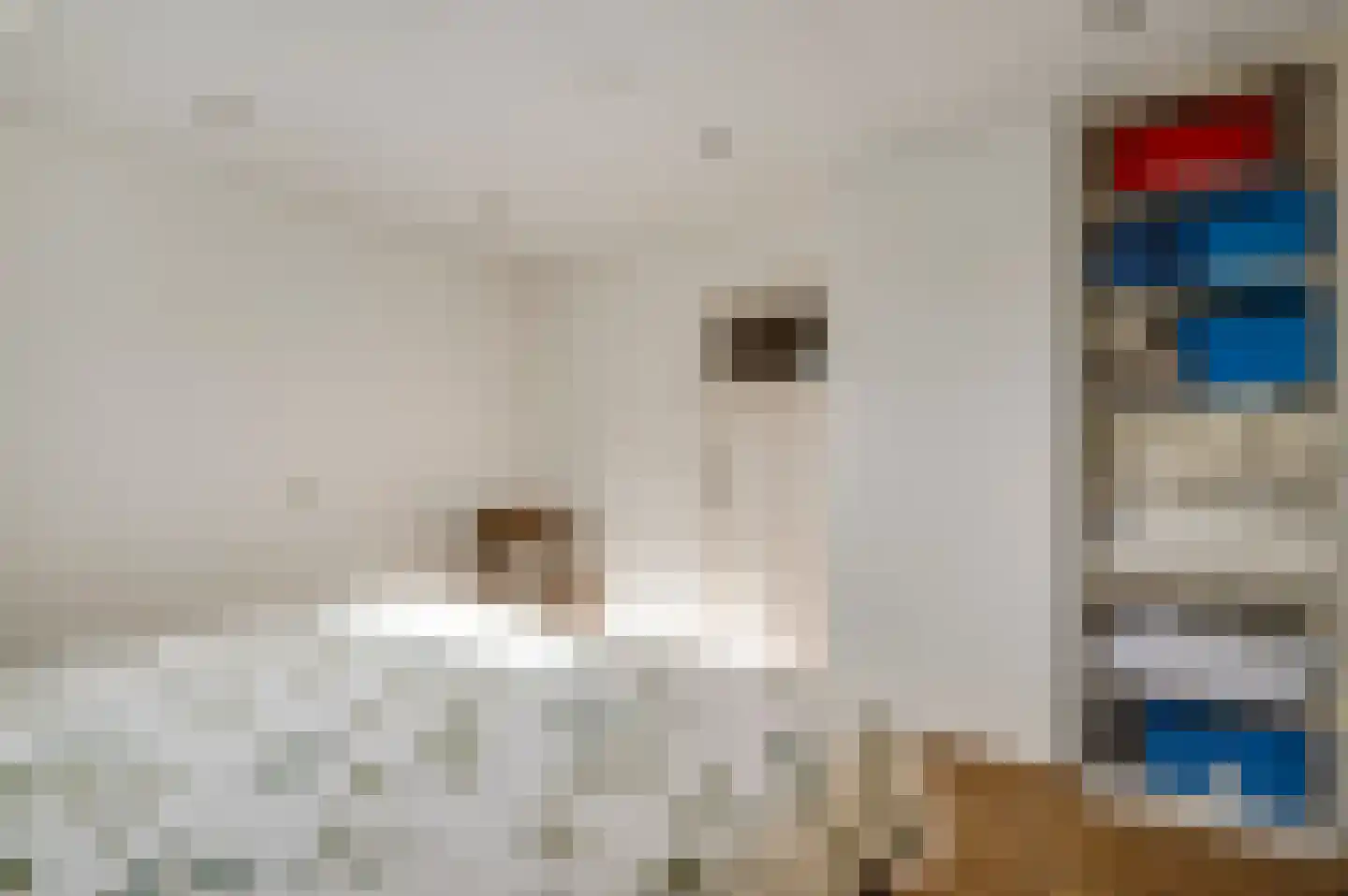 Nieuwe Baan 46 Tienray thumbnail 38
