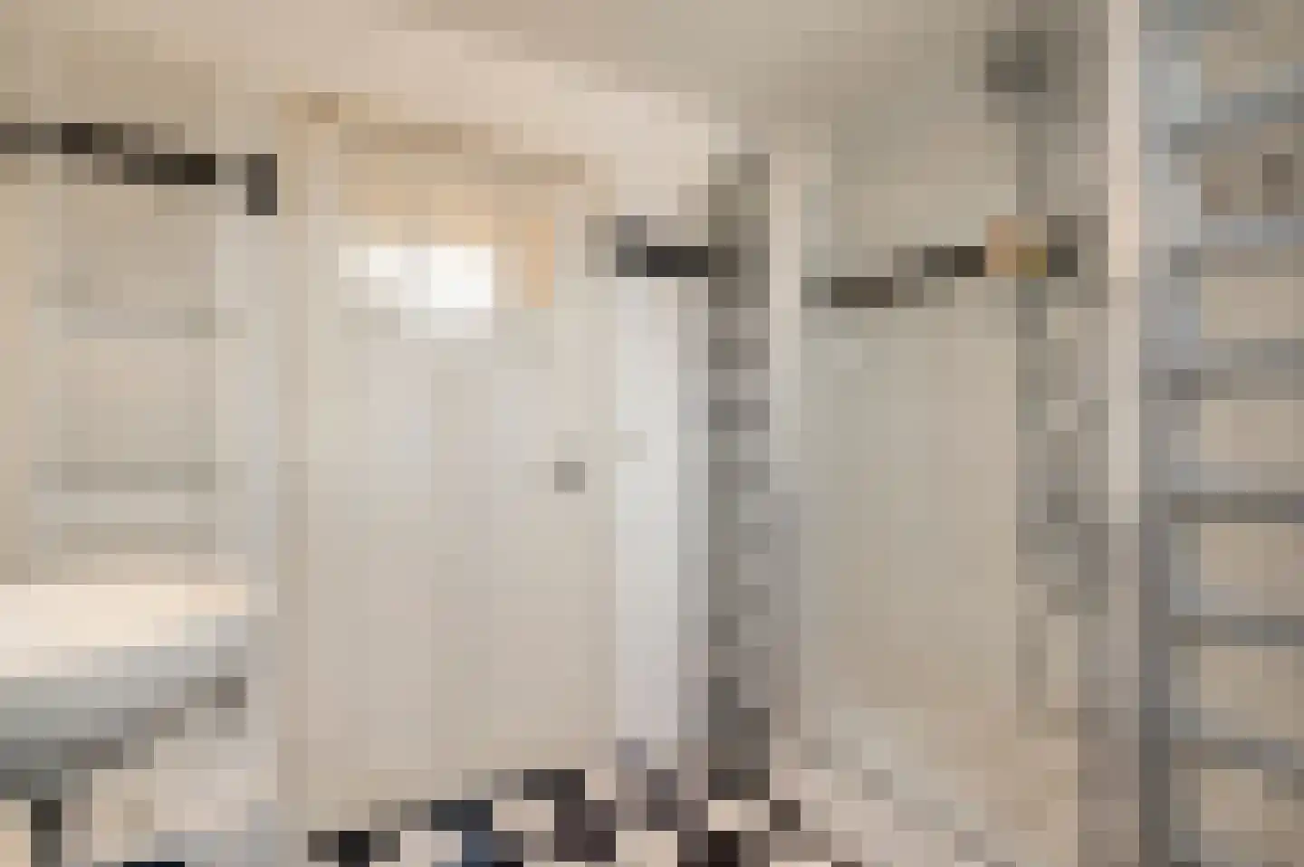 Nieuwe Baan 46 Tienray thumbnail 40