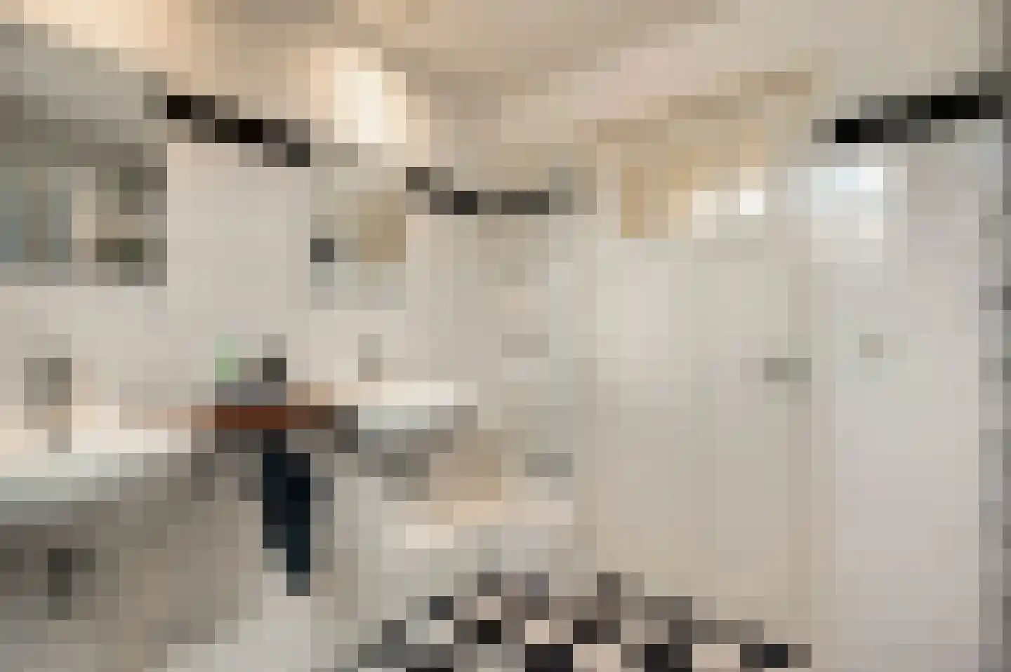 Nieuwe Baan 46 Tienray thumbnail 41