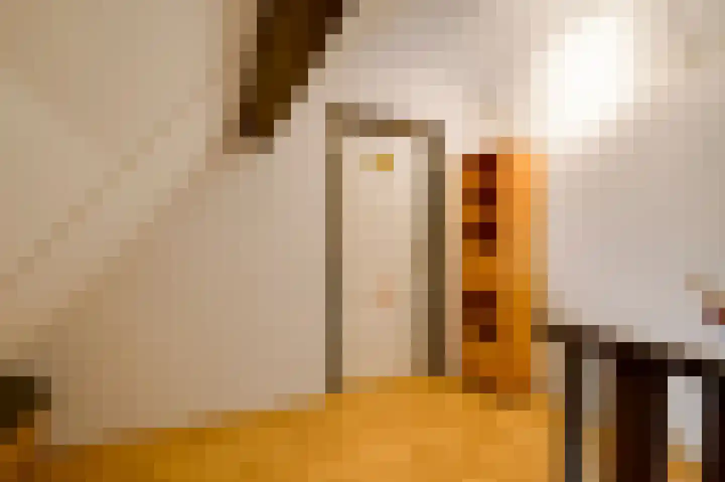 Nieuwe Baan 46 Tienray thumbnail 47