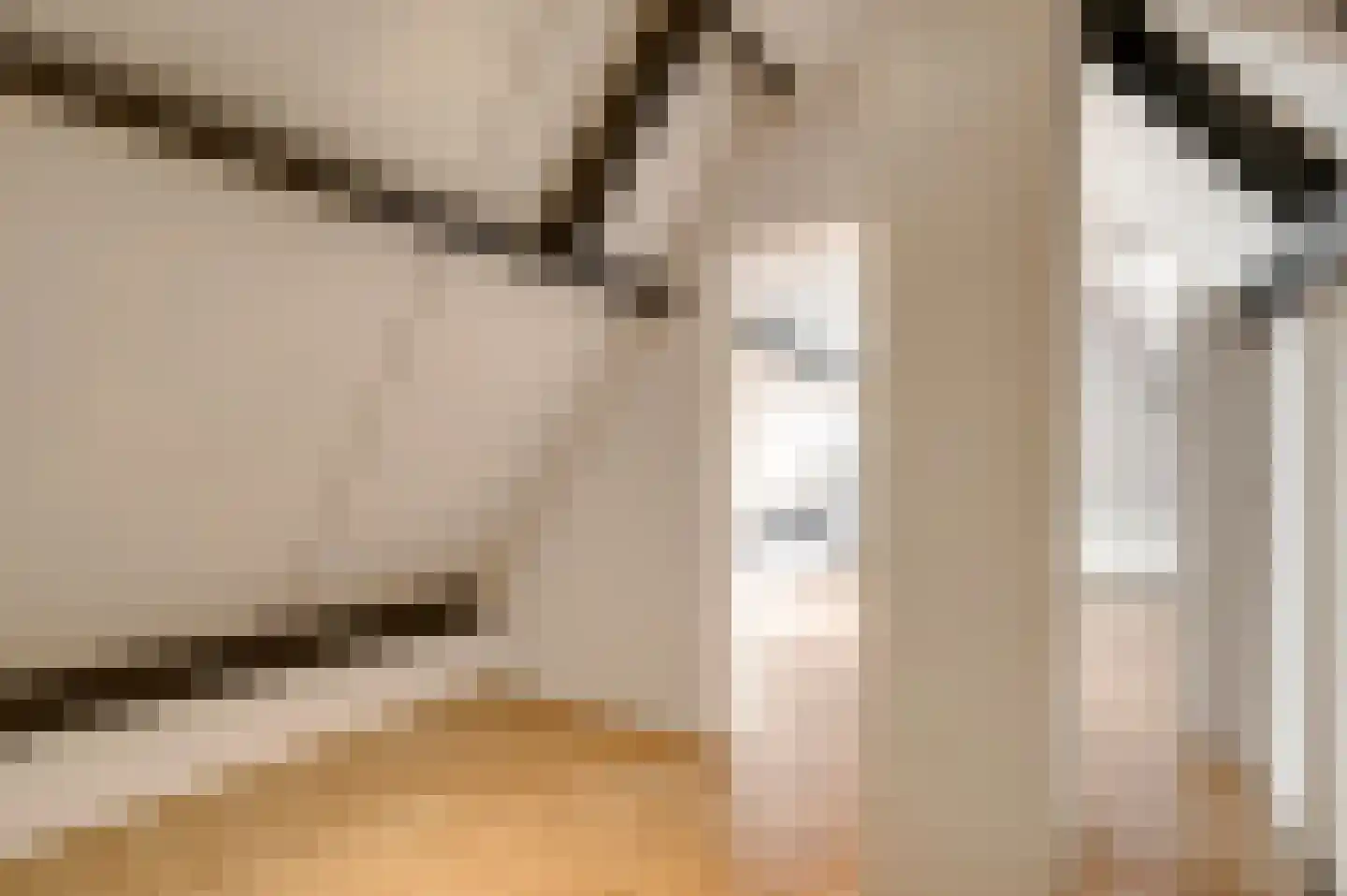 Nieuwe Baan 46 Tienray thumbnail 48