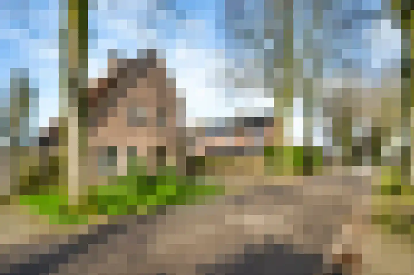 Nieuwe Baan 46 Tienray thumbnail 6