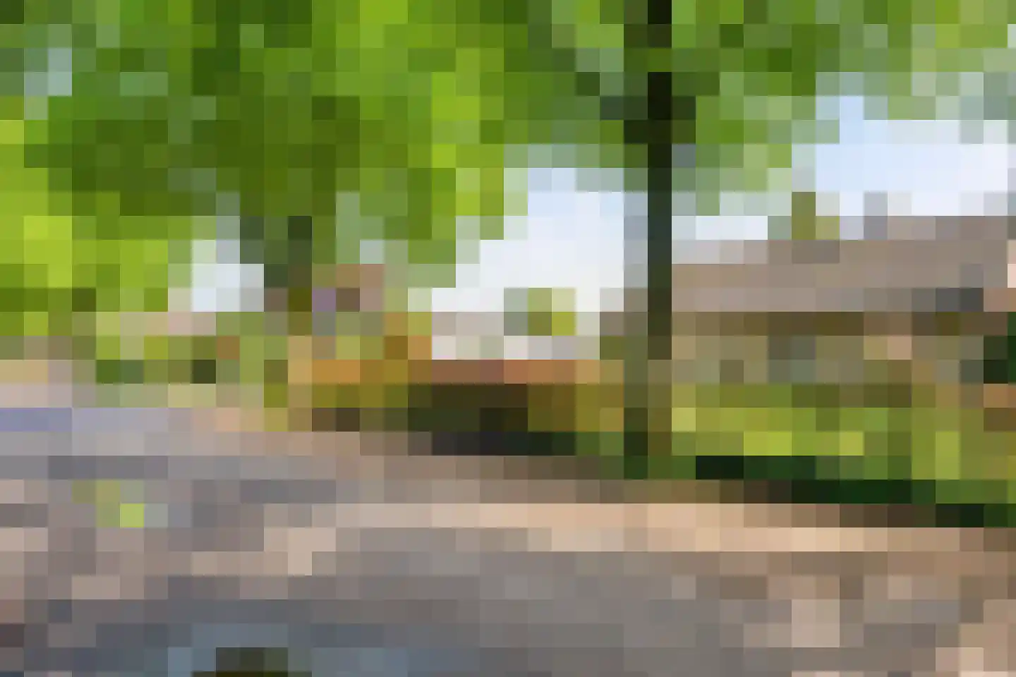 Nieuwe Baan 49 Tienray thumbnail 10