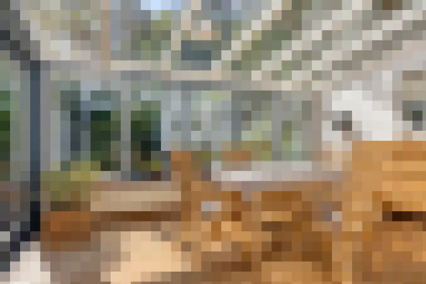 Nieuwe Baan 49 Tienray thumbnail 19
