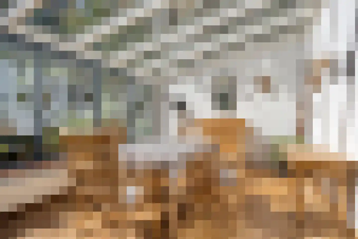Nieuwe Baan 49 Tienray thumbnail 20