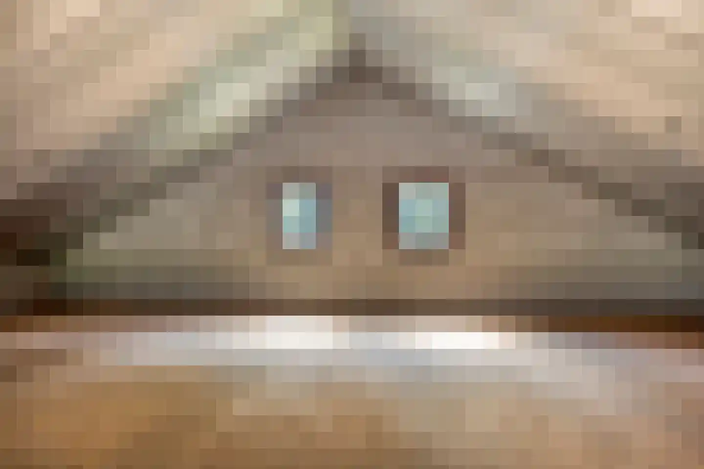 Nieuwe Baan 49 Tienray thumbnail 41