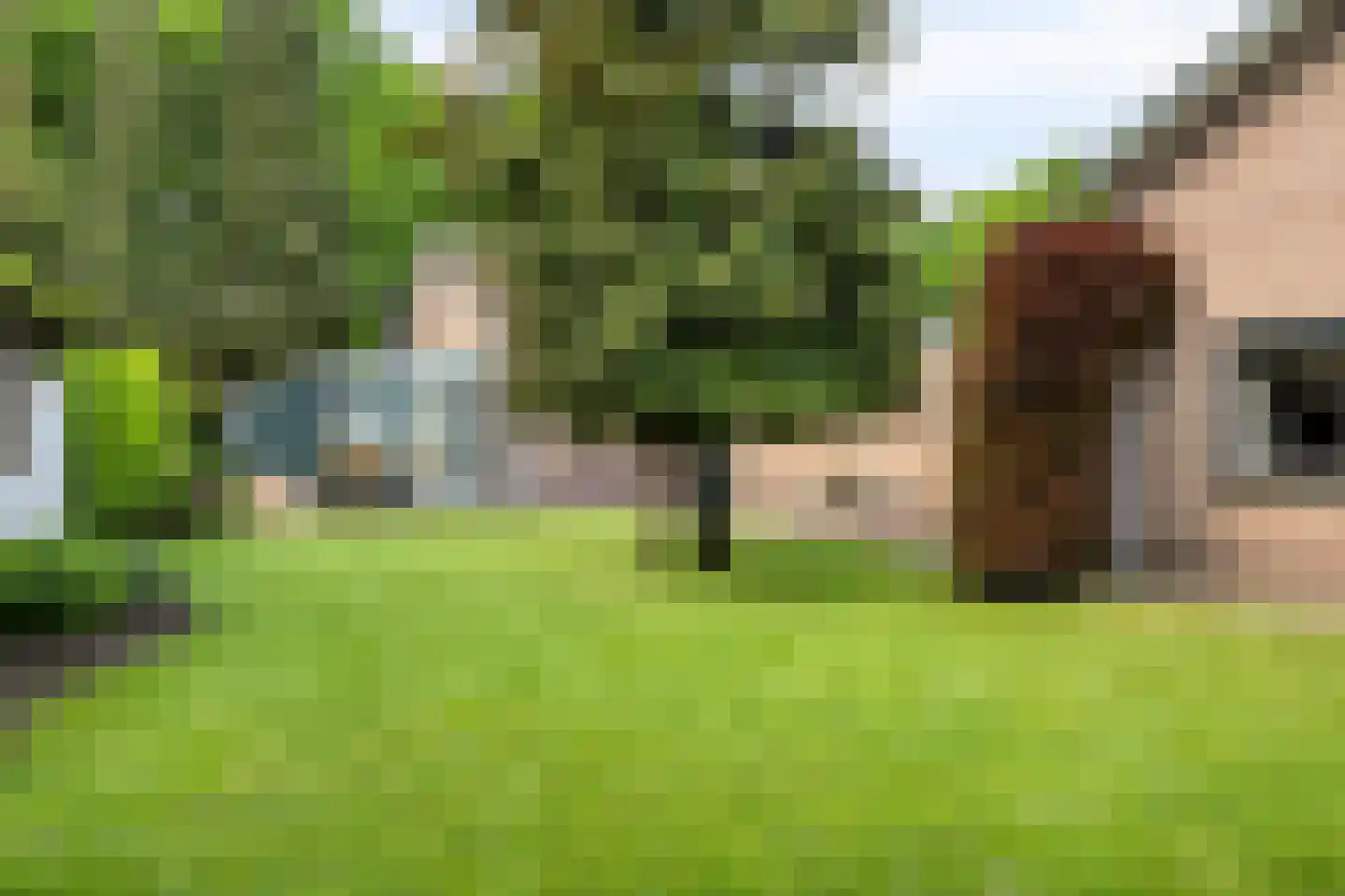 Nieuwe Baan 49 Tienray thumbnail 55