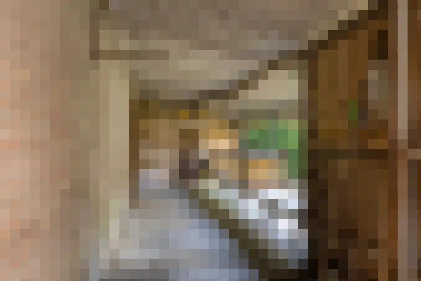 Nieuwe Baan 49 Tienray thumbnail 57