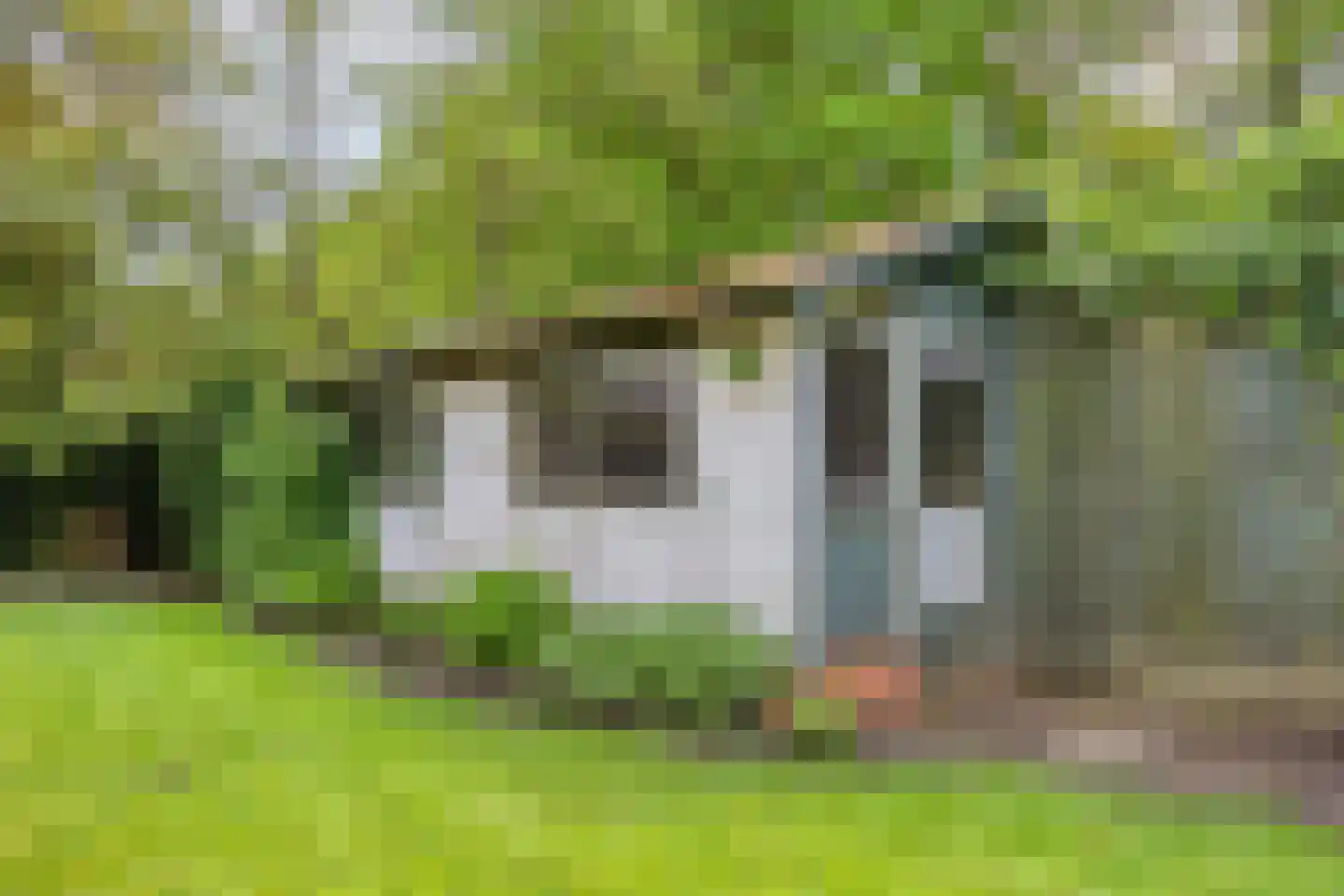 Nieuwe Baan 49 Tienray thumbnail 58