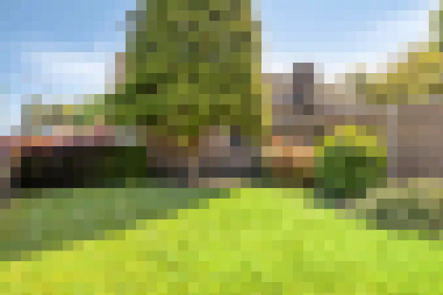 Nieuwe Baan 49 Tienray thumbnail 59