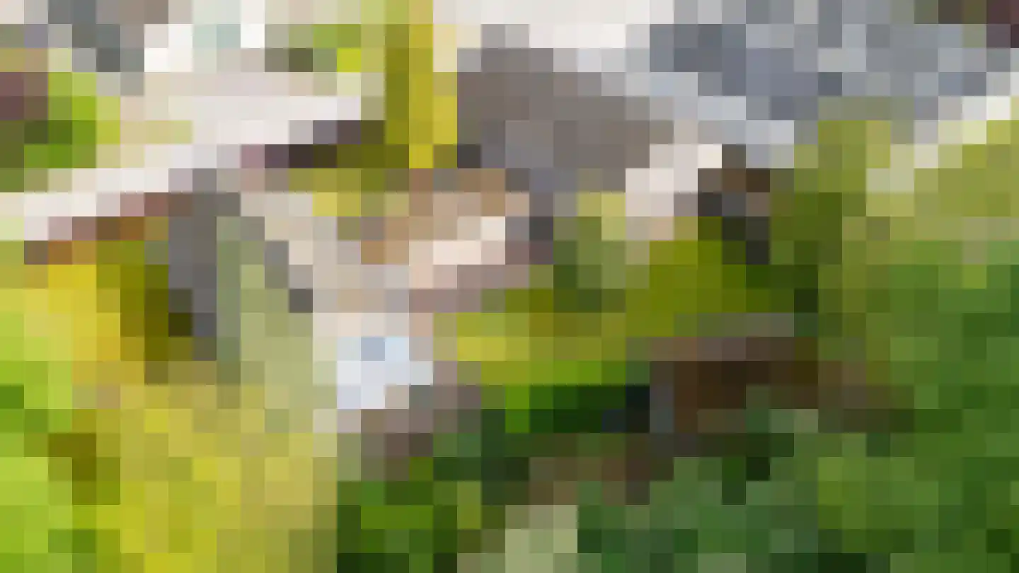 Nieuwe Baan 49 Tienray thumbnail 8