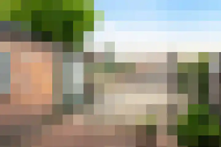 Nieuwe Barteldweg 20 Twello thumbnail 14